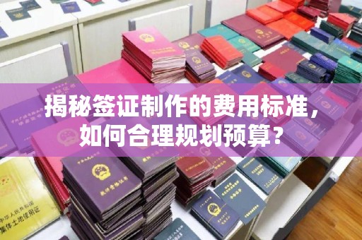 迁安揭秘签证制作的费用标准，如何合理规划预算？